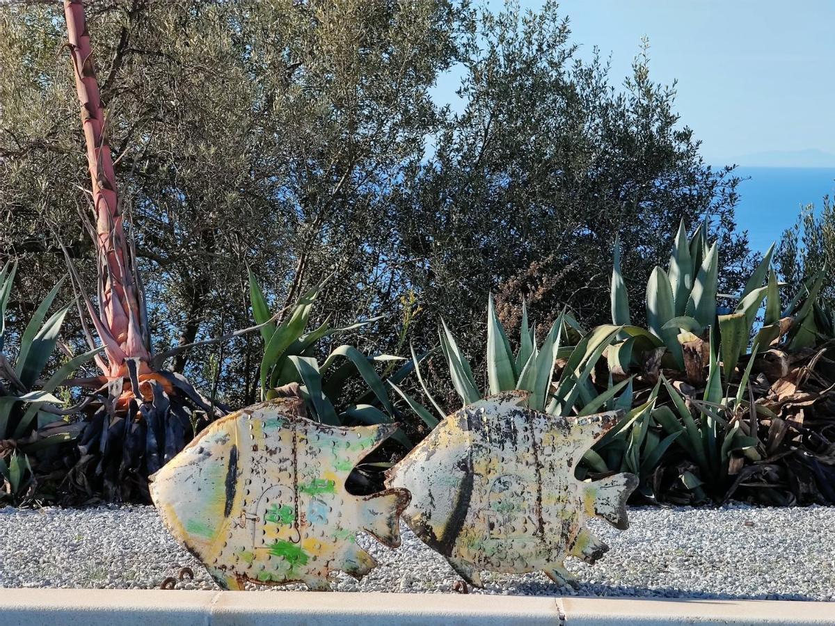 Campo Agave Luxury Tents Sayalonga 外观 照片