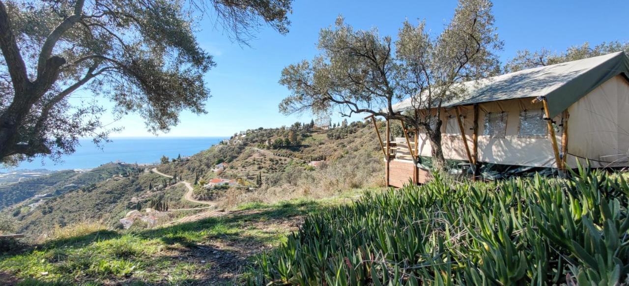 Campo Agave Luxury Tents Sayalonga 外观 照片