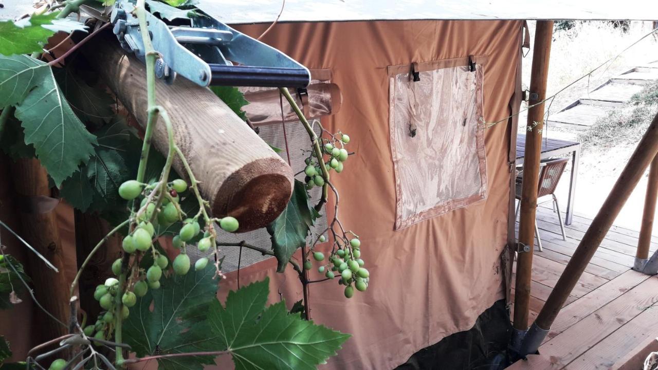 Campo Agave Luxury Tents Sayalonga 外观 照片