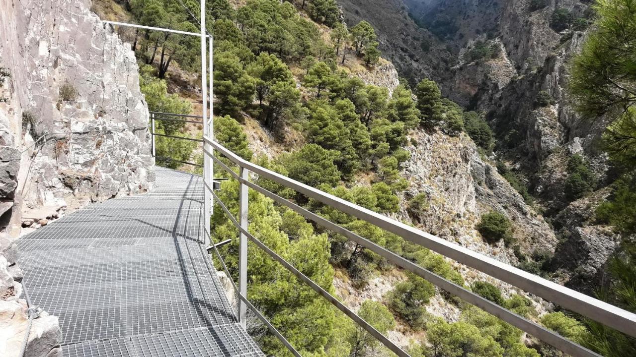 Campo Agave Luxury Tents Sayalonga 外观 照片