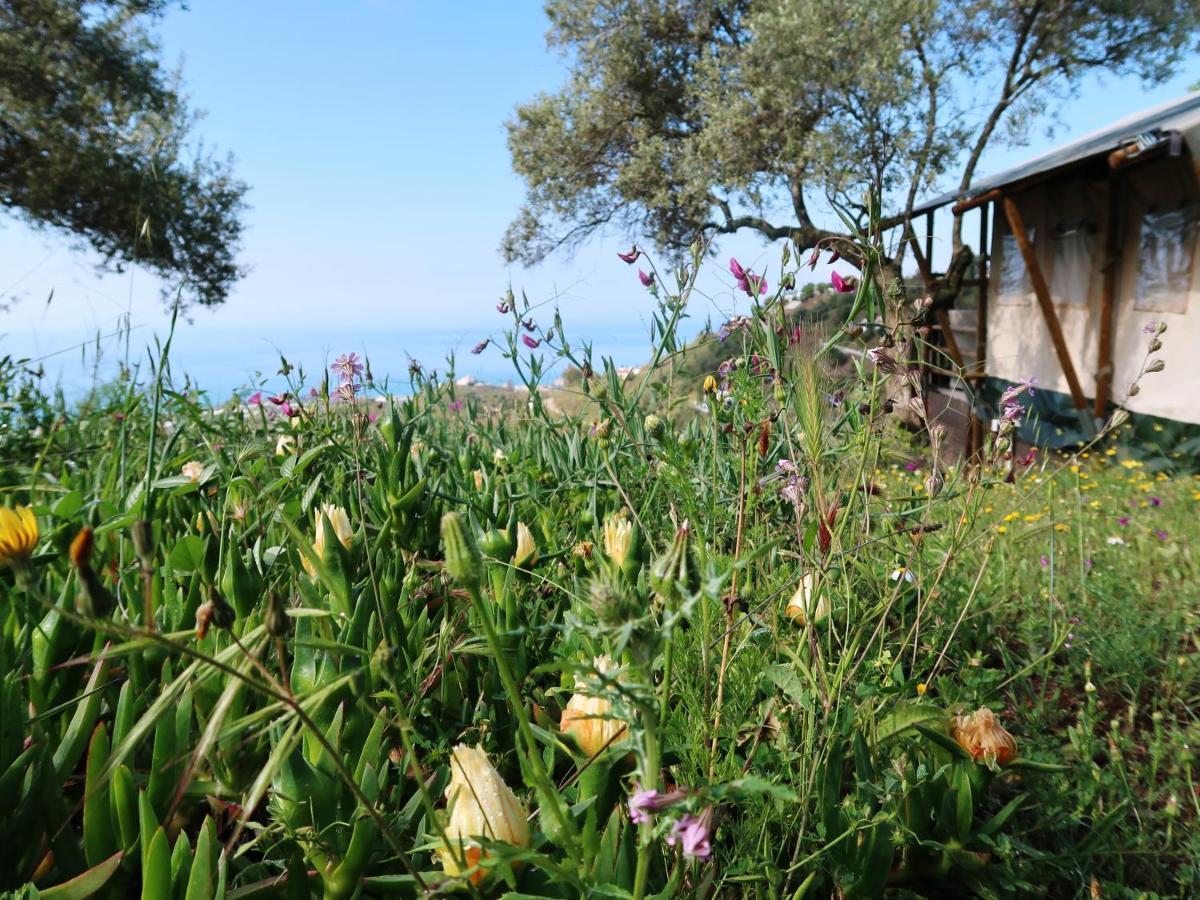 Campo Agave Luxury Tents Sayalonga 外观 照片