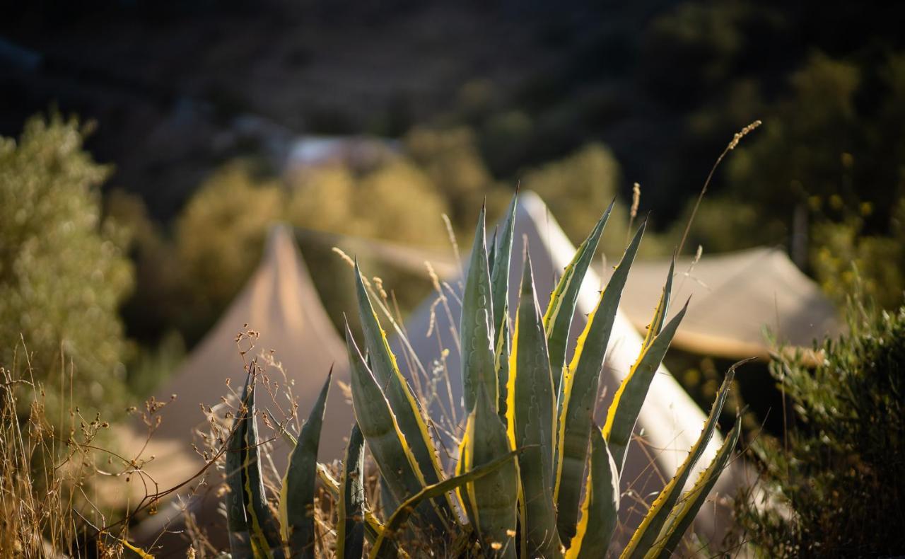 Campo Agave Luxury Tents Sayalonga 外观 照片