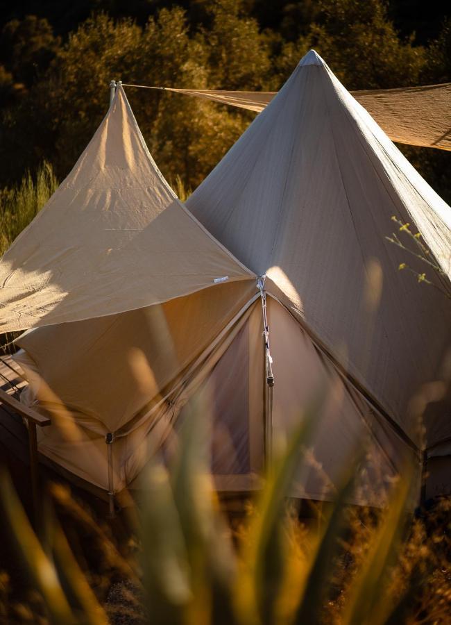 Campo Agave Luxury Tents Sayalonga 外观 照片