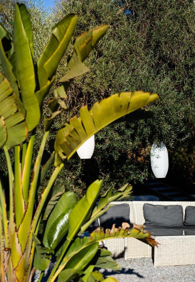 Campo Agave Luxury Tents Sayalonga 外观 照片