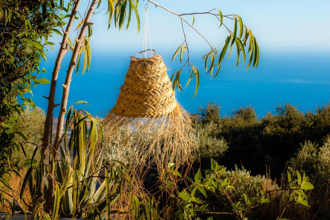 Campo Agave Luxury Tents Sayalonga 外观 照片