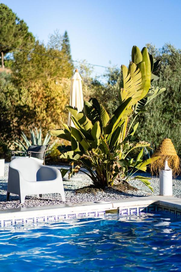 Campo Agave Luxury Tents Sayalonga 外观 照片