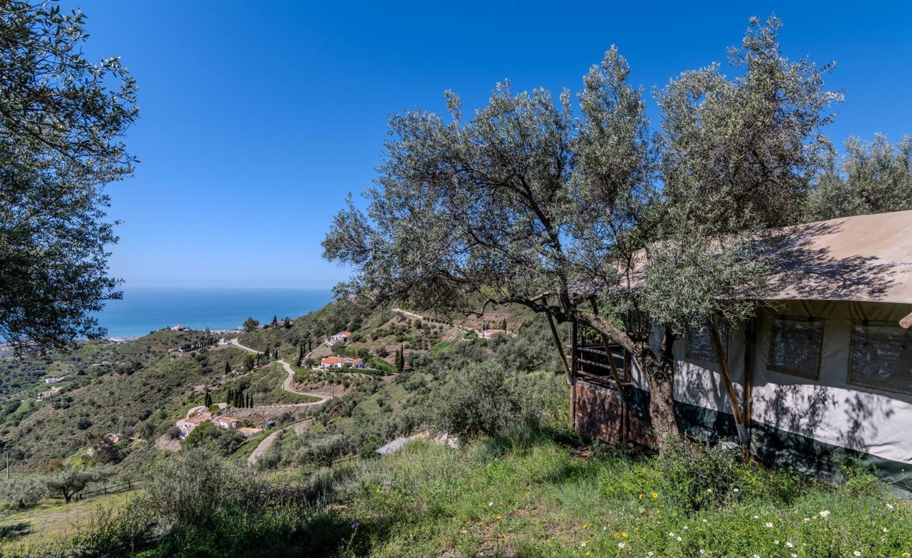 Campo Agave Luxury Tents Sayalonga 外观 照片