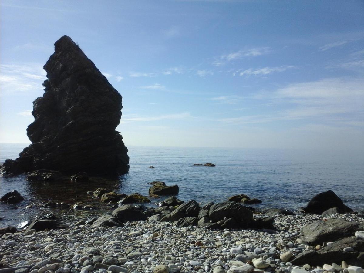 Campo Agave Luxury Tents Sayalonga 外观 照片